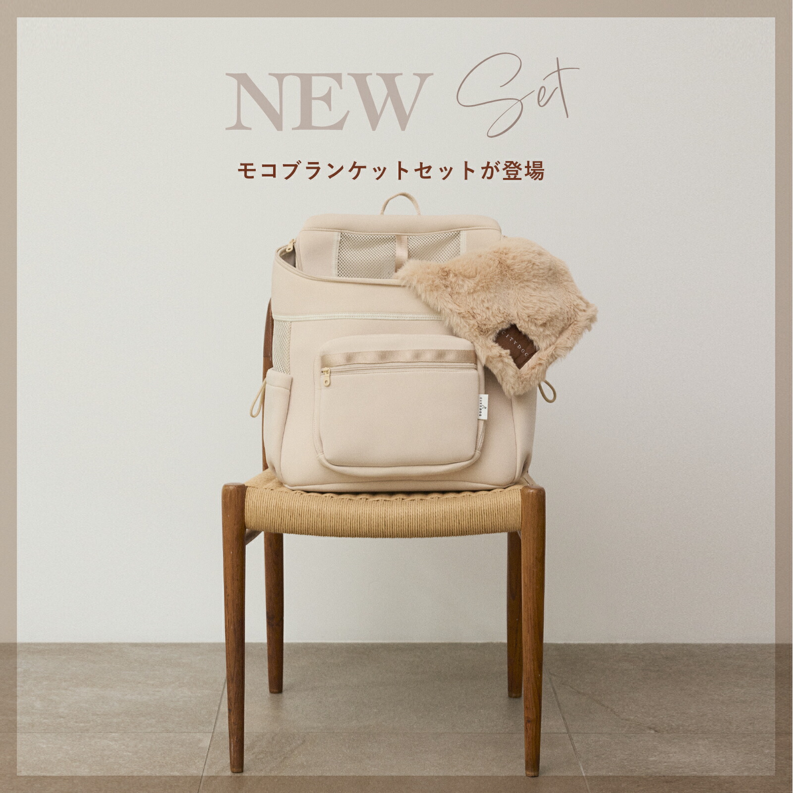 楽天市場】犬 リュック ｜ キャリー 犬リュック ペット キャリーバッグ