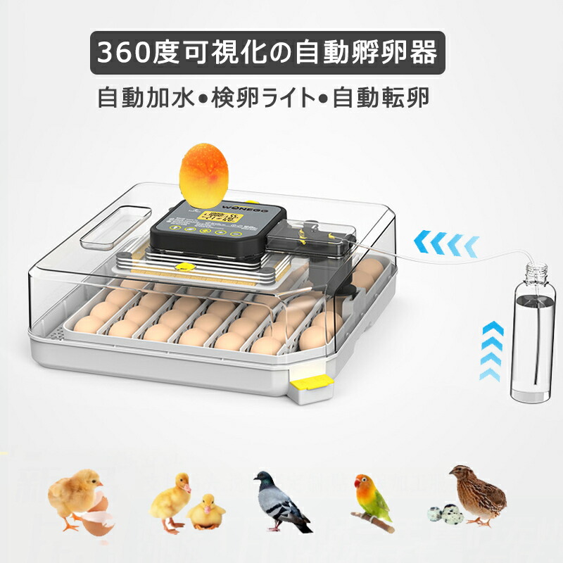 楽天市場】孵卵器 自動孵化機 卵孵化機 孵卵器 自動転卵 最大48枚