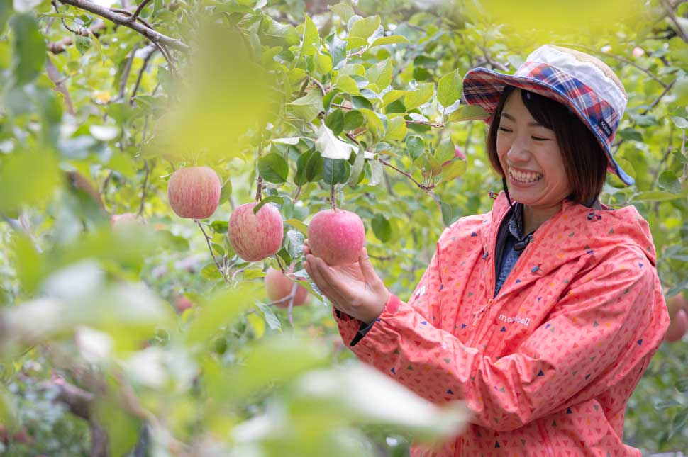 百色の青森 みんなが知らない'りんご'のお話 | ハンドメイドガラスの