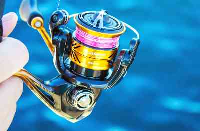 11 ソアレ BB C2000PGSのスペック | 釣りクラウド