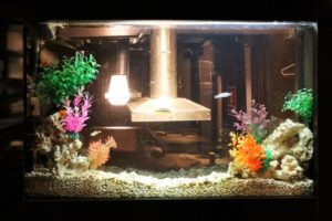 徹底解説】上部フィルターのメリット＆デメリットとおすすめ使用例