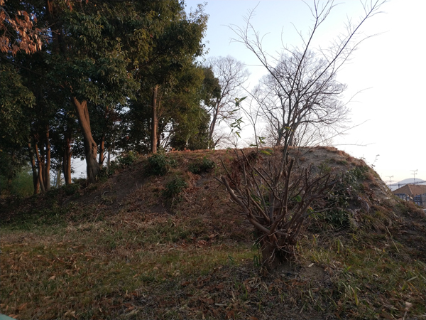 庭鳥塚古墳｜工事で偶然発見された未盗掘の古墳〜羽曳野市〜 | 南河内