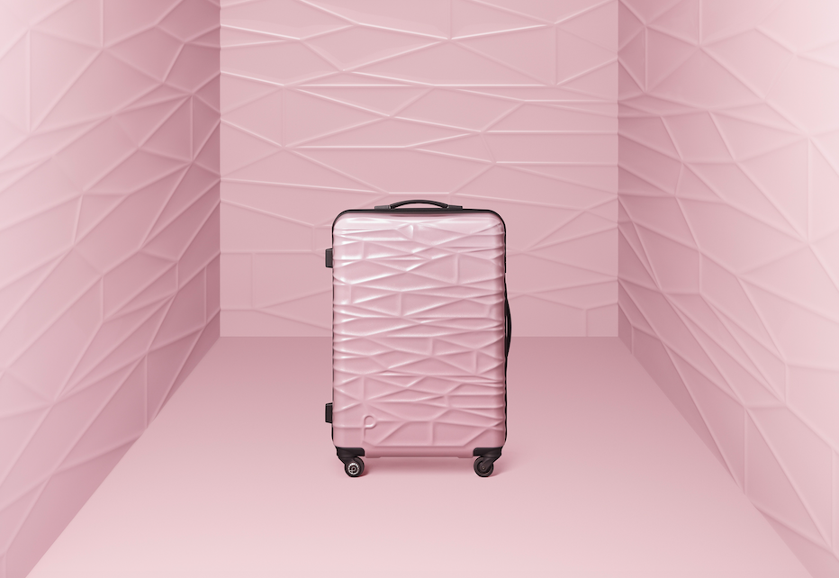 エース、「プロテカ」から旅行意欲の高いミレニアル女性向けハード