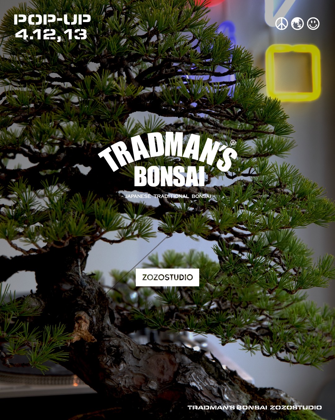 ZOZOSTUDIO × TRADMAN'S BONSAI