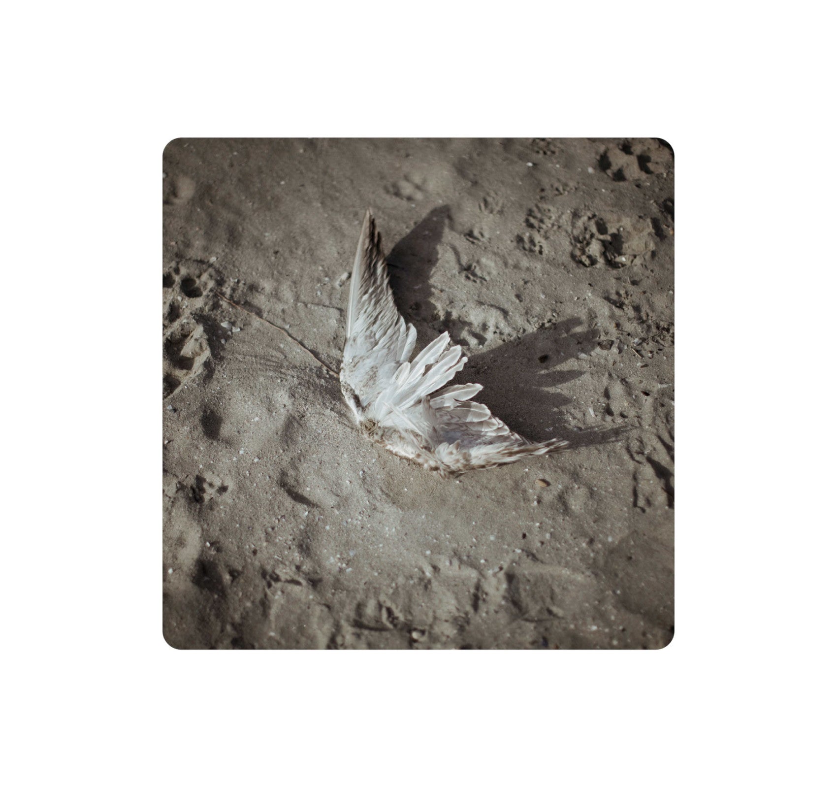 THE AFRONAUTS by Cristina de Middel [SECOND EDITION] – twelvebooks