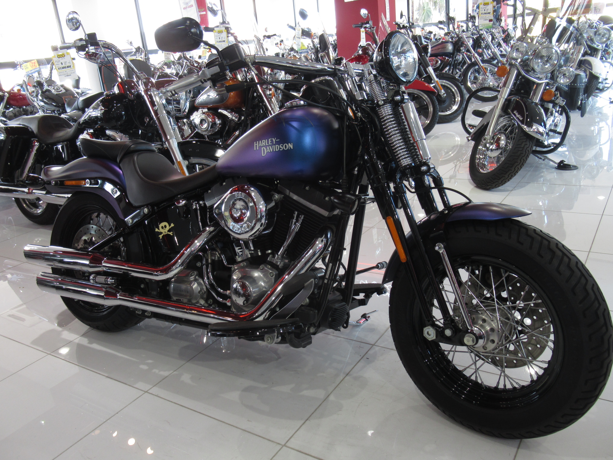 スプリンガー最終クロスボーンズ！！ [最新情報] | U-MEDIA (ユー