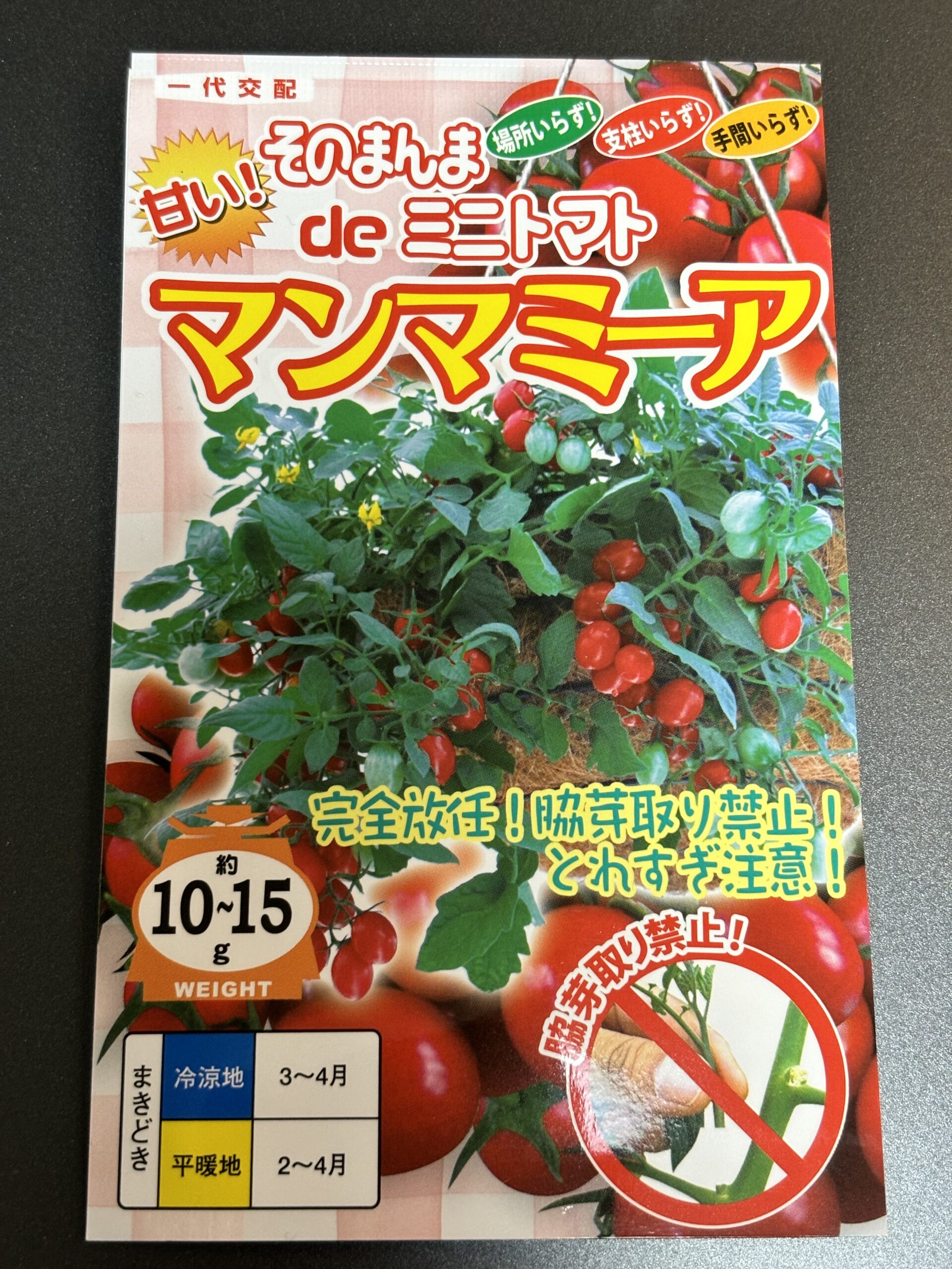 今年のミニトマトは食べきれないほどの豊作でした！〜ジャングルと