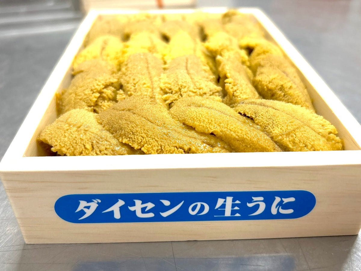 S__84090908_1200x.jpg?v=1742547004