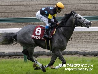 マカオンドール2018年産 - 競走馬データTOP｜競馬予想のウマニティ