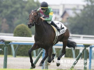 タガノエルピーダ - 競走馬データTOP｜競馬予想のウマニティ