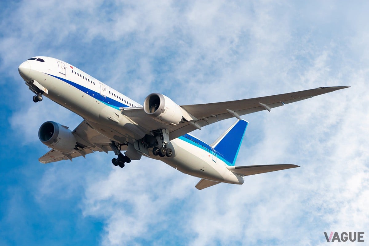 ANAの上級会員サービス「プレミアムメンバー」は本当に便利？ 増加傾向