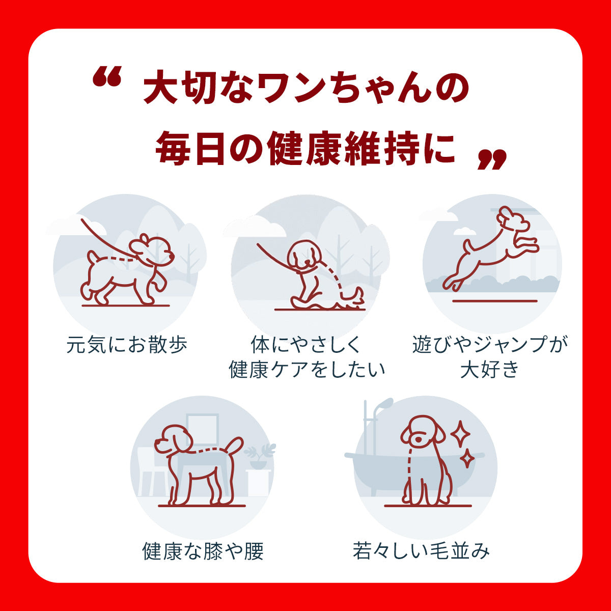 犬のサプリメント【アンチノール プラス】– ベッツペッツ公式サイト