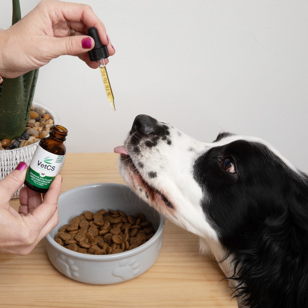 CBDA:CBD:CBG:CBN Oil For Dogs | VetCS