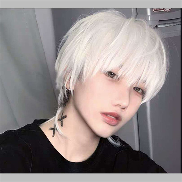 Dr.Stone 西園寺右京 ドクターストーン ドクスト | Vings(ヴィングス)