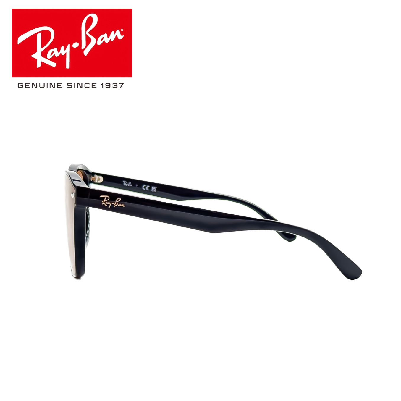 RayBan RB4392D 601/93 | VOIR 横浜 サングラス メガネ
