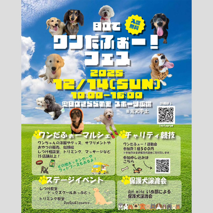 第1回 日立でわんだふぉー！フェス（茨城） | わんにゃんスマイル