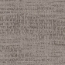 TOTO×sangetsu ライトフレッシュ壁紙/ウォームグレー(ライトブラウン