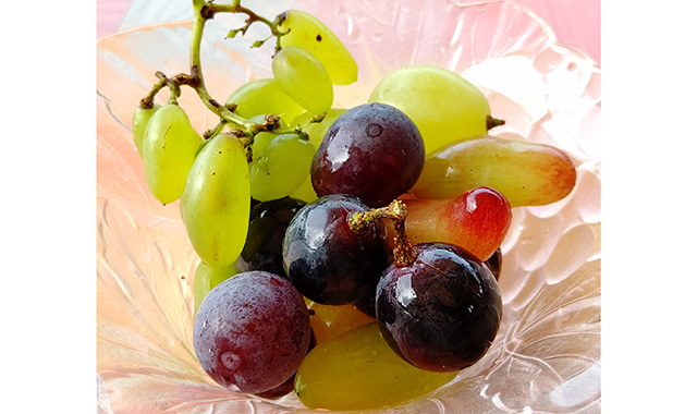 色んな品種のぶどうを楽しむバラエティセット【出荷時期：8月下旬より