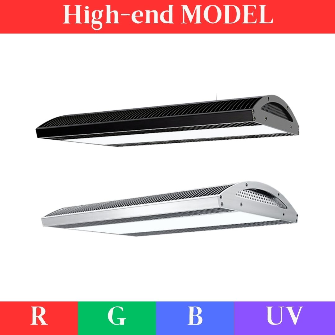 A430 TH RGB – WEEK AQUA