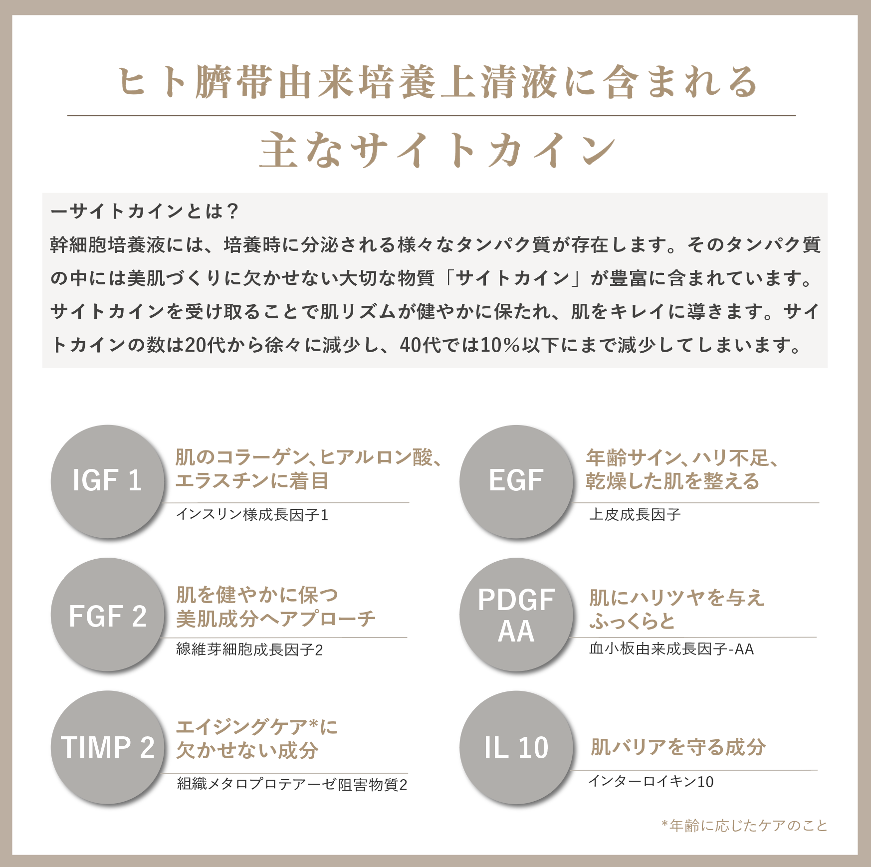 ヒト幹細胞美容液 W E L L 8ブースターセラム｜導入美容液 30ml ヒト