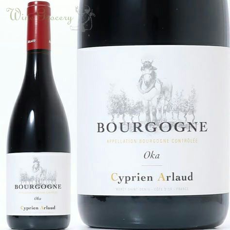 エマニュエル・ルジェ ブルゴーニュ パストゥグラン 2023 | ワイン