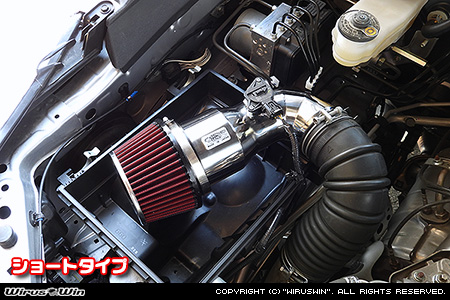 WirusWin】トヨタ ハイラックス（3DF-GUN125・QDF-GUN125）用大型