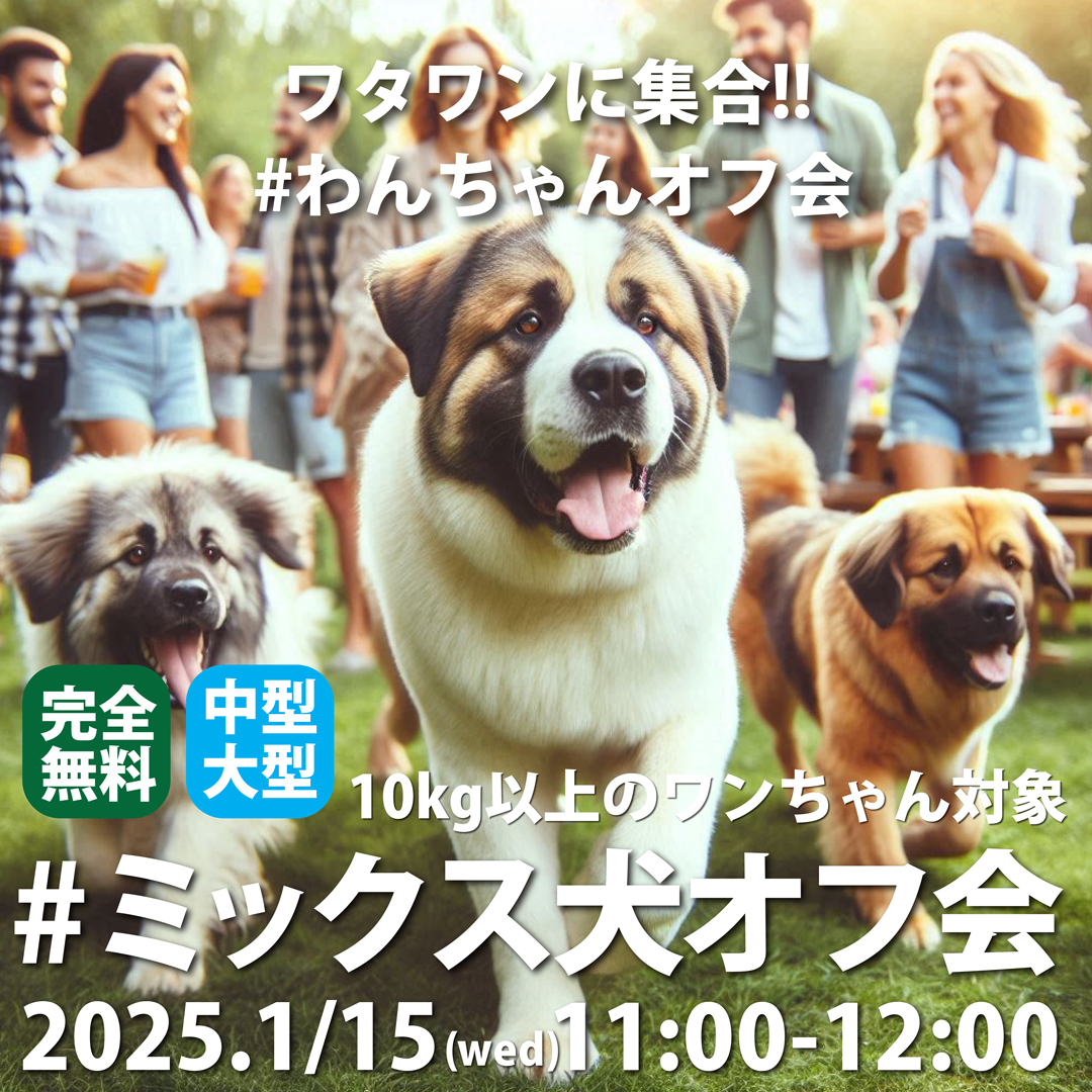 2025年1月15日 🐶大型犬好き必見！#ミックス犬オフ会🐾 | WHATAWON