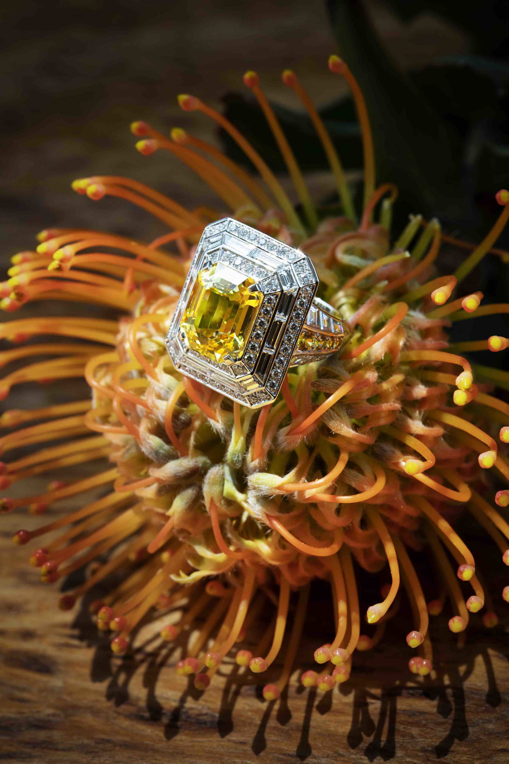 Louis Vuitton High Jewelry Reaches New Heights at the MoMA Tower