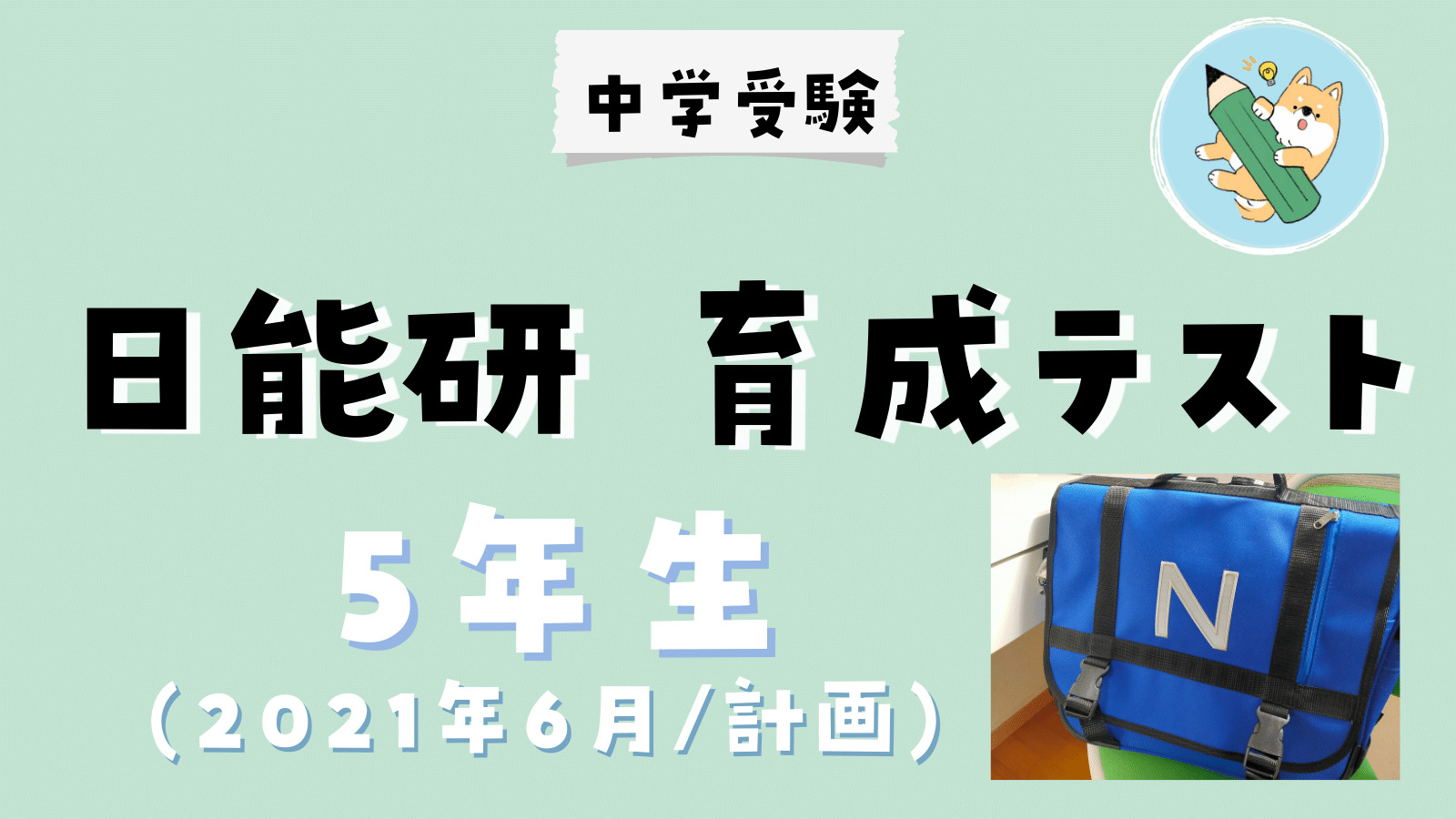 中学受験】日能研 育成テスト(6/19•小5)学習計画 | ポチたま中学受験