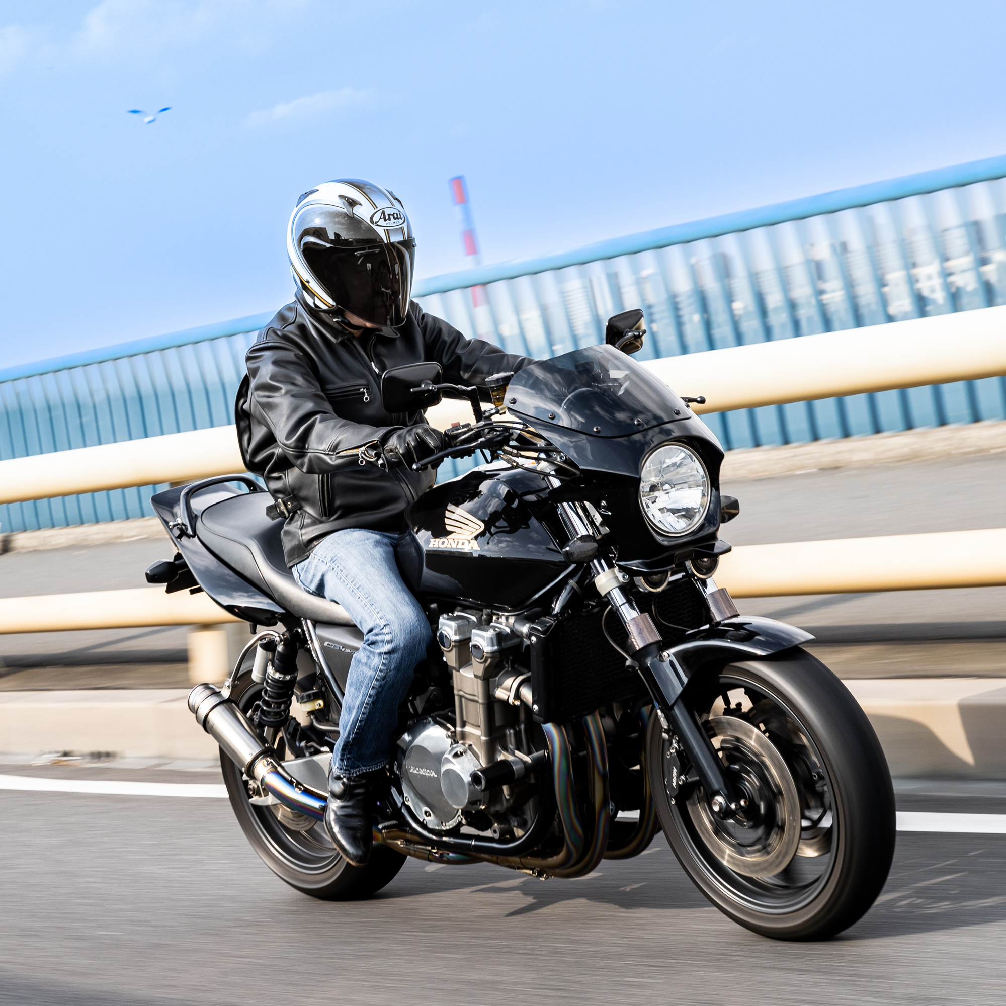 ビキニカウル DS-01 単色塗装 - バイクパーツメーカー ワールド