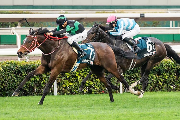 2021クイーンエリザベス2世カップ | JRA-VAN ver.World