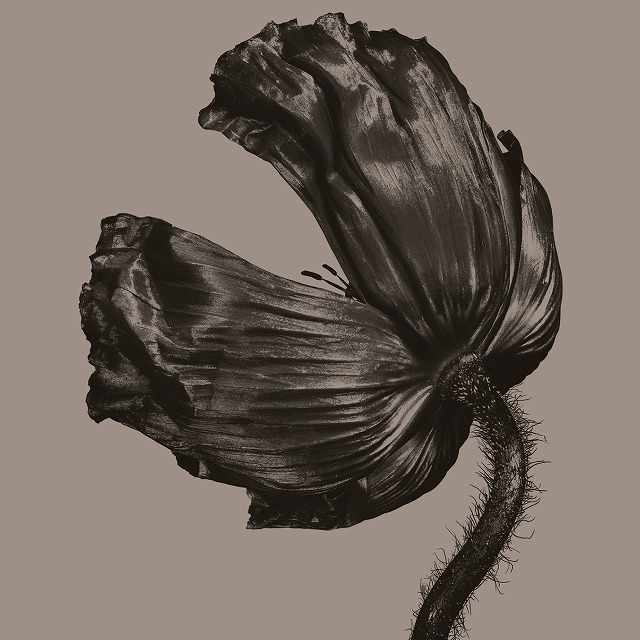 Pet Shop Boys / ペット・ショップ・ボーイズ「リリース」 | Warner