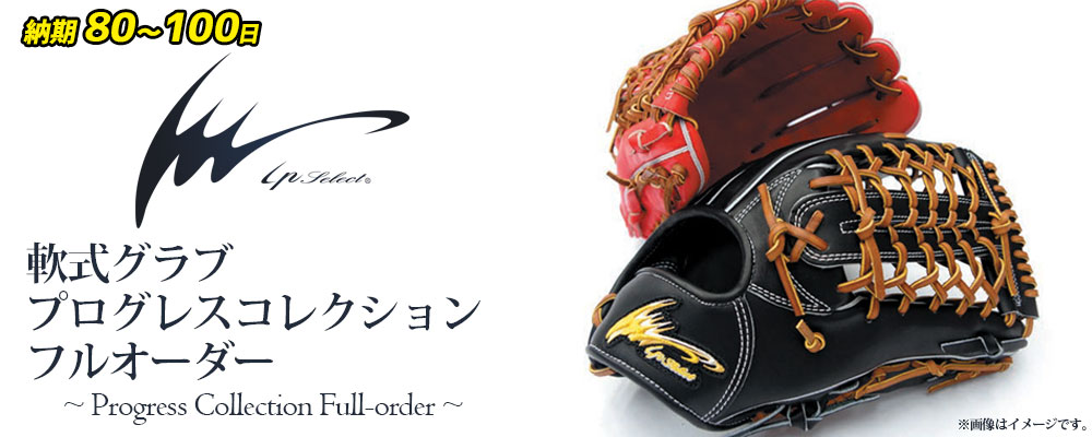 Ipselect アイピーセレクト 軟式グラブ プログレスコレクション フル