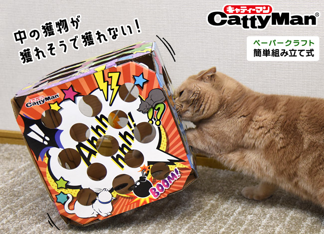 キャティーマン 猫ちゃんテンション爆アゲBOX (45280) 猫用おもちゃ