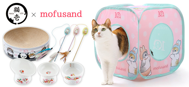 猫壱×mofusand(モフサンド) 猫専門店ゴロにゃん☆公式通販サイト｜猫の
