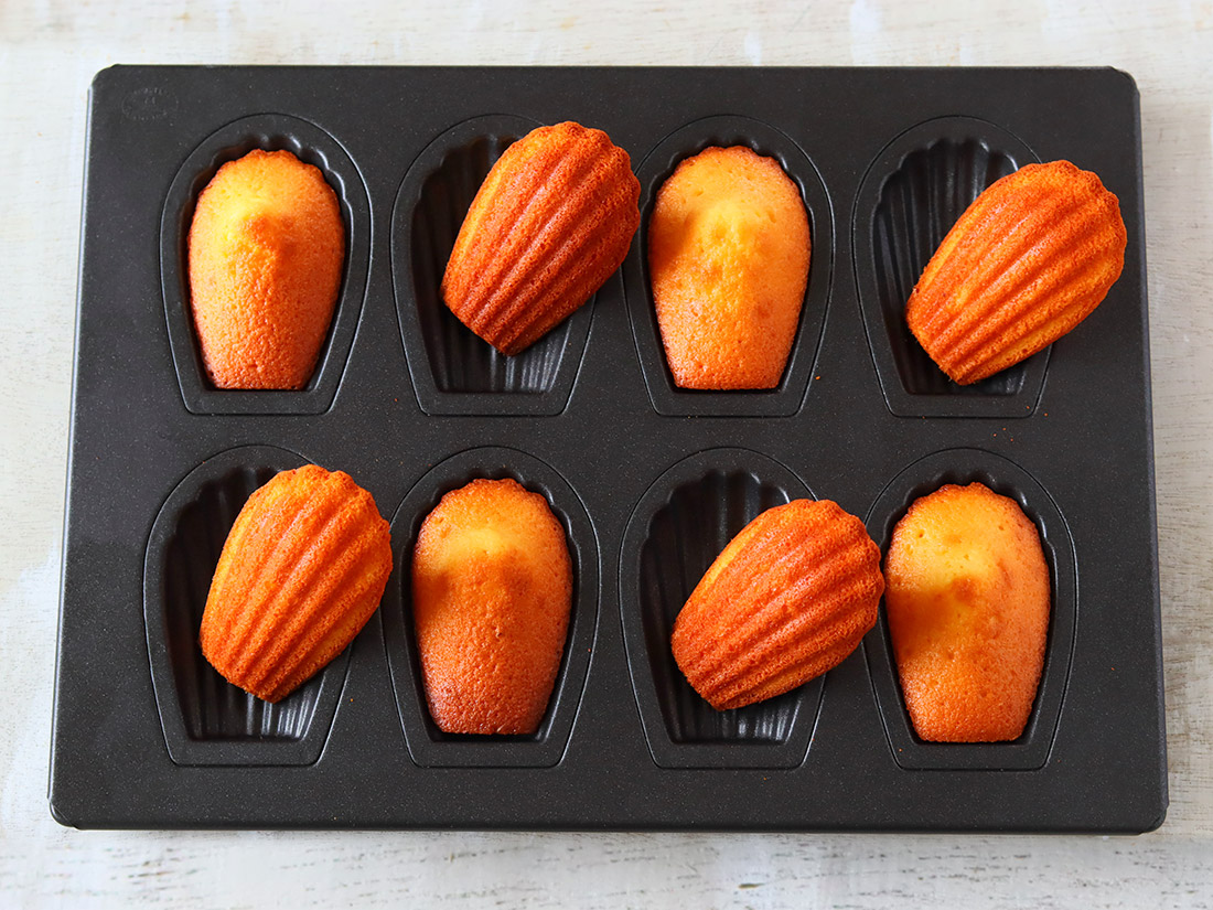 松永製作所 メタリックテフロン付マドレーヌ天板 8P | マドレーヌ型