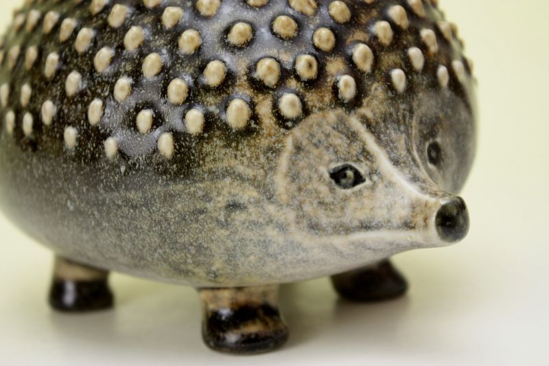 Lisa L. Swedberg 限定ハリネズミ Lisa L. Swedberg 限定ハリネズミ