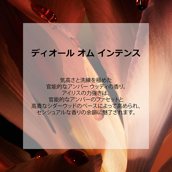 ディオール オム インテンス(オードゥ パルファン) / ディオール(香水