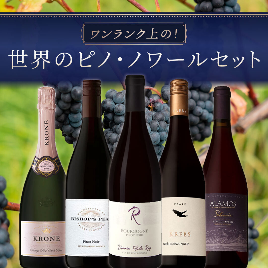 おすすめワインセット | THE CELLAR online store｜ワイン通販