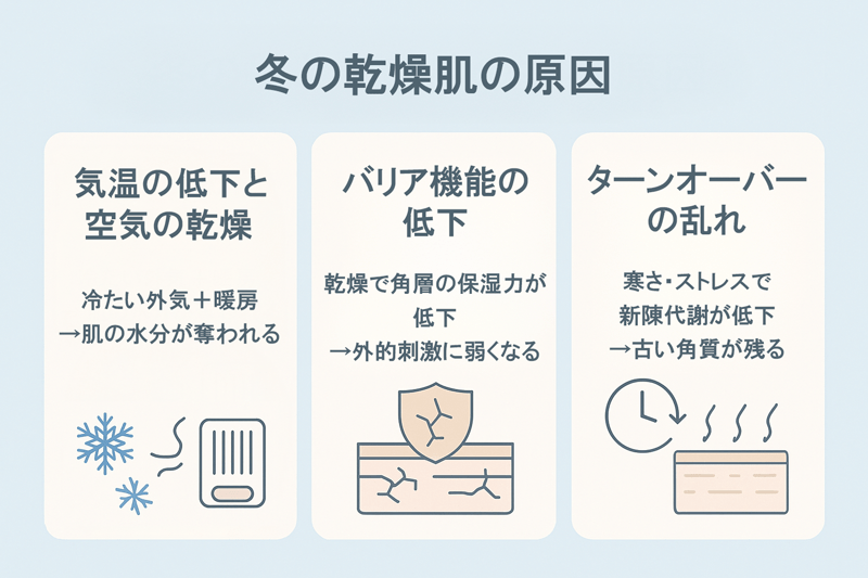 冬の乾燥肌におすすめのスキンケアを紹介！冬の乾燥に負けない肌へ