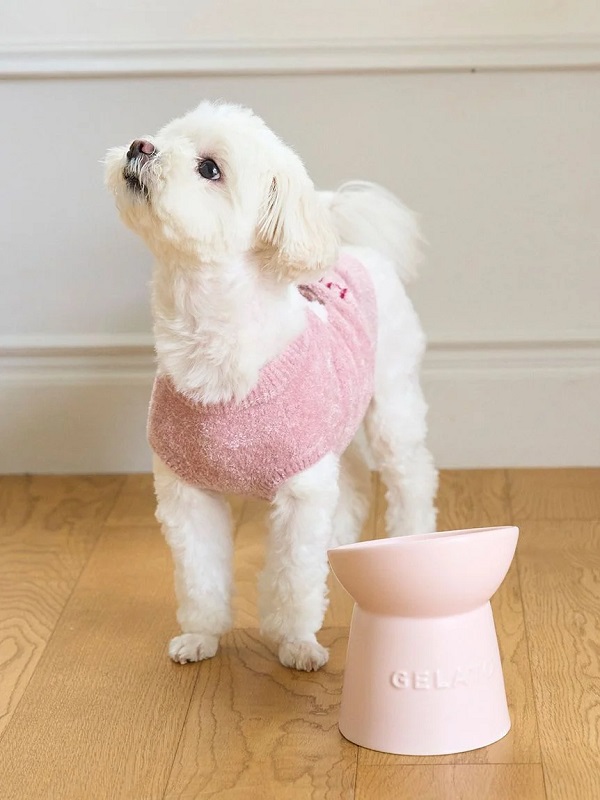 gelato pique（ジェラートピケ）【CAT&DOG】【販路限定商品】ハイ