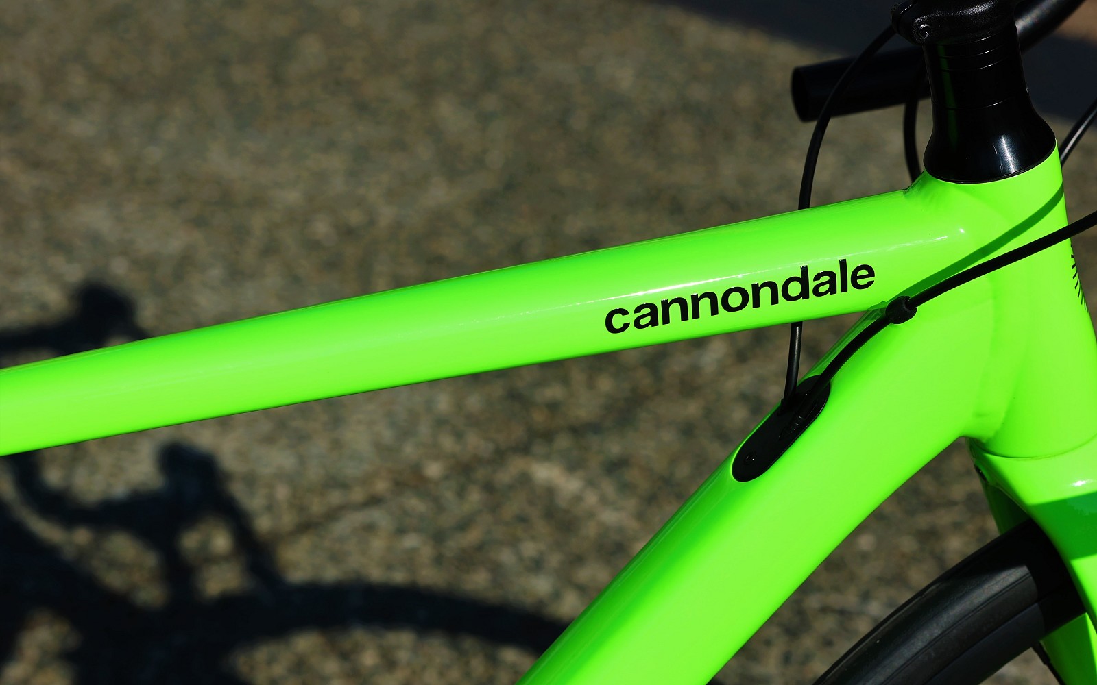 CAAD13 Disc 105のニューイヤーモデルが入荷しました | キャノンデール横浜