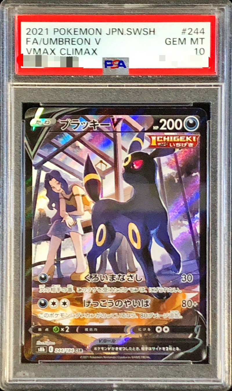 PSA10鑑定済〕ブラッキーV【CSR】{244/184}