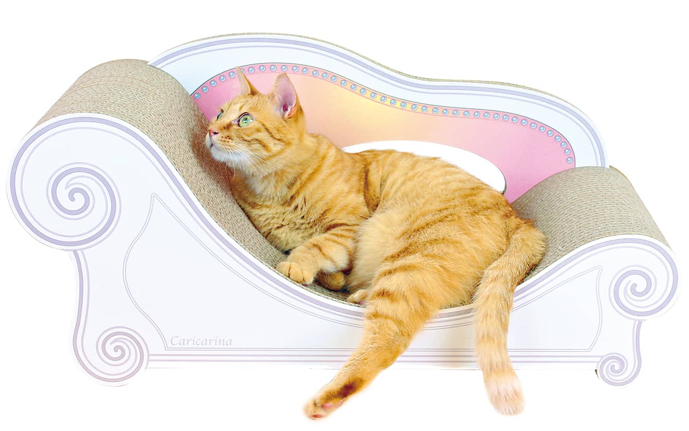 カリカリーナとは – 猫の爪とぎ Caricarina(カリカリーナ)