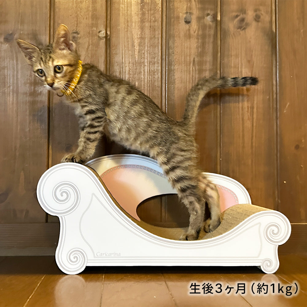 micio ミーチョ – 猫の爪とぎ Caricarina(カリカリーナ)