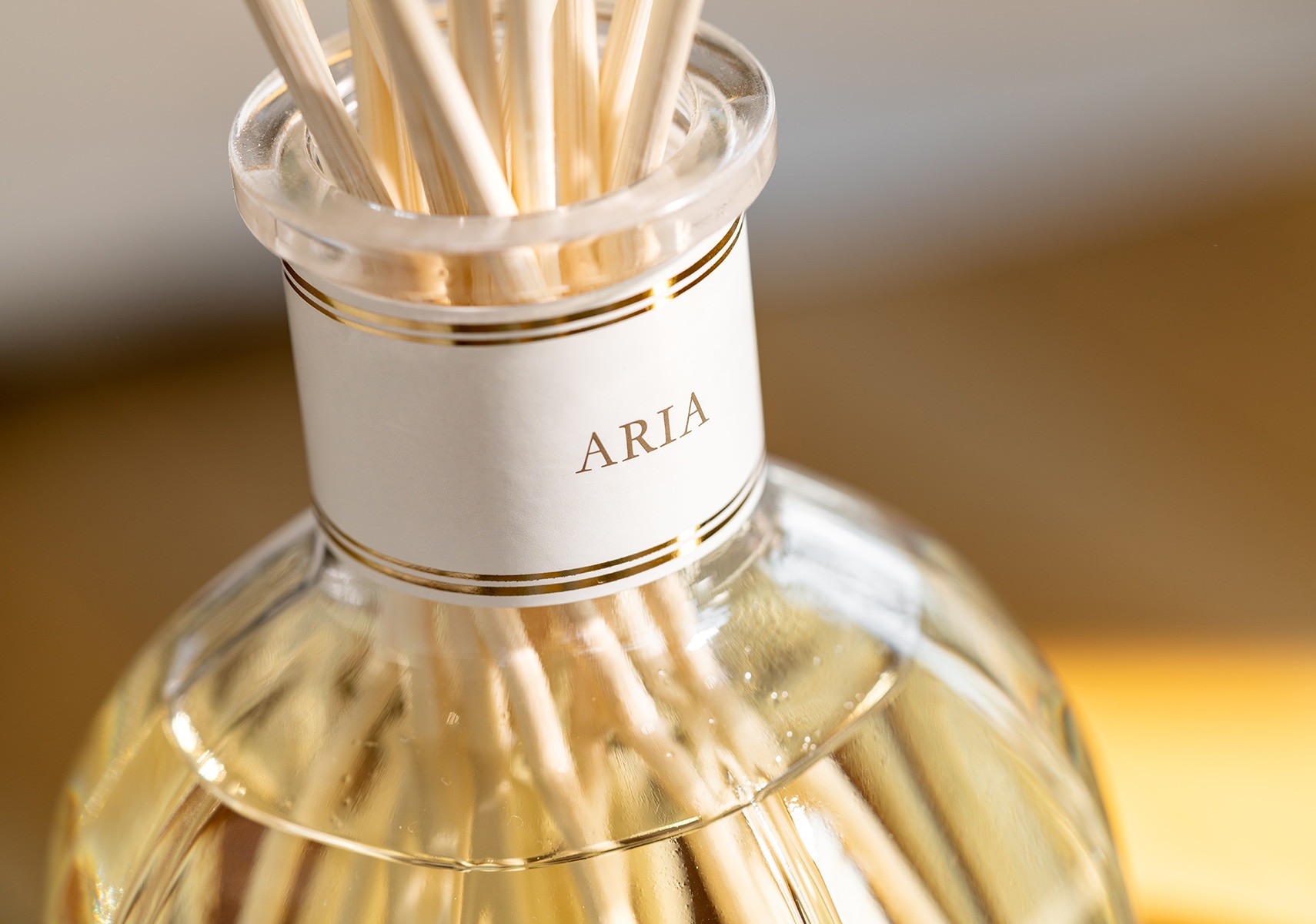 Dr. Vranjes (ドットール・ヴラニエス) Dr. Vranjes - ARIA ドットール