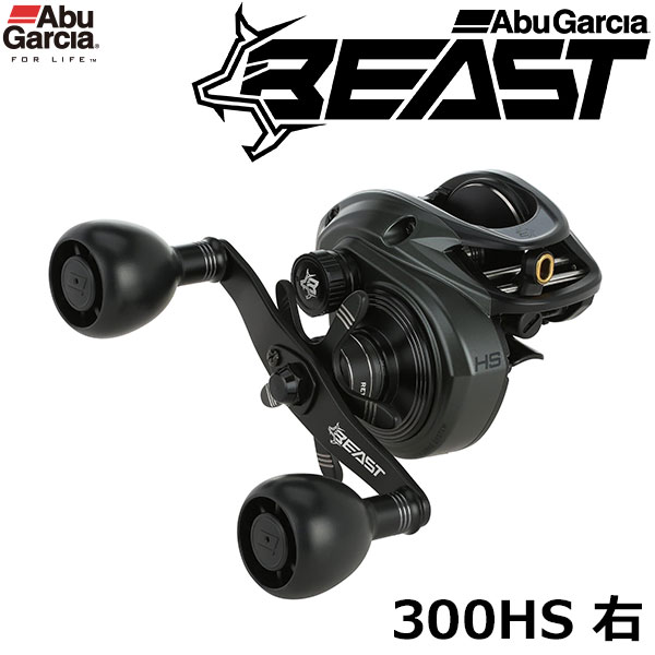 アブガルシア(Abu Garcia) AMB.Morrum(モラム) ZX3600 Mag ☆激安放