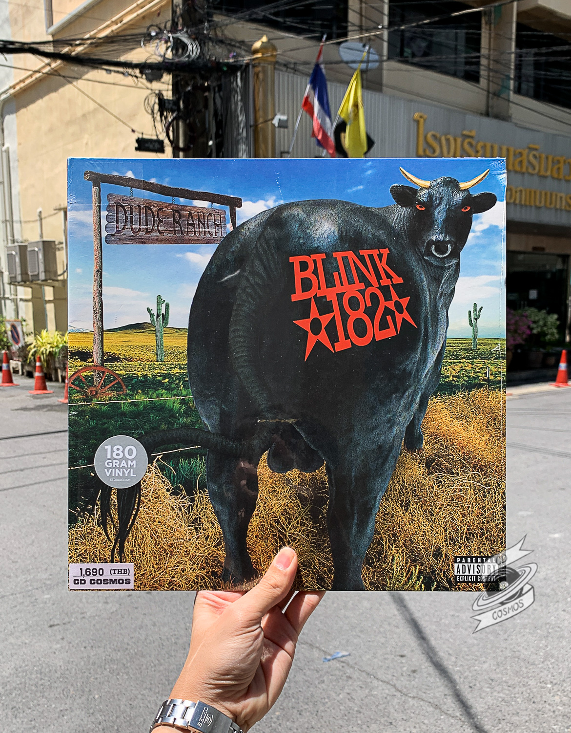 Blink-182 – Dude Ranch - cdcosmos