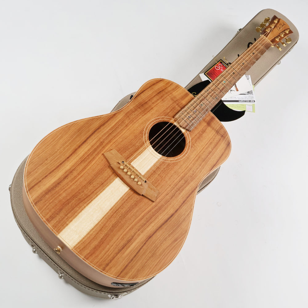 中古】 アコースティックギター Cole Clark FL2EC-BLBL FL Dreadnought