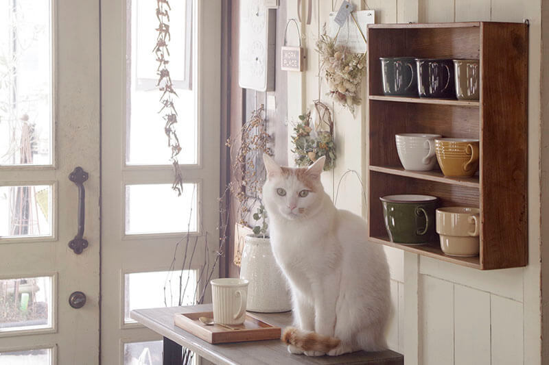 ヴィンテージウッドのコレクションウォールラック｜古材・アンティーク